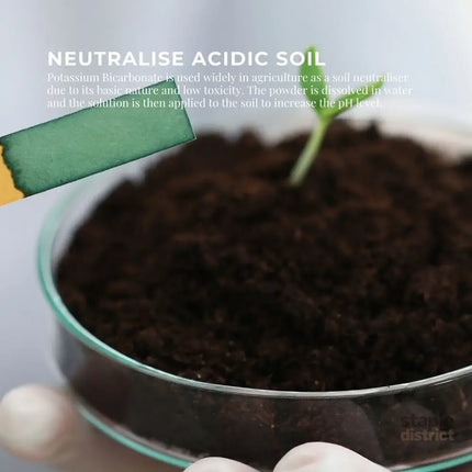 100g Organic Potassium Bicarbonate Powder - Food Grade Pure FCC Brewing Baking - Commercial > Commercial Others >