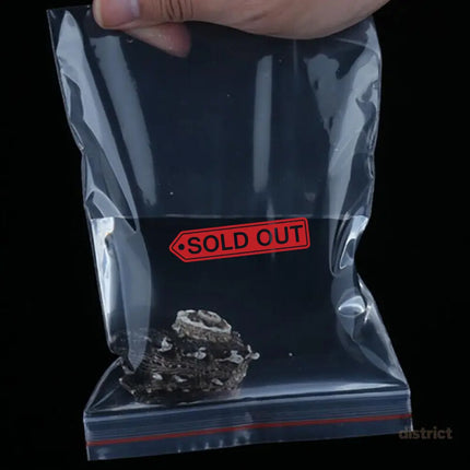 100X Bulk Clear Resealable PE Plastic Zip Bags - 22*32cm 100PCS - Commercial > Packaging > Postage Satchels & Boxes