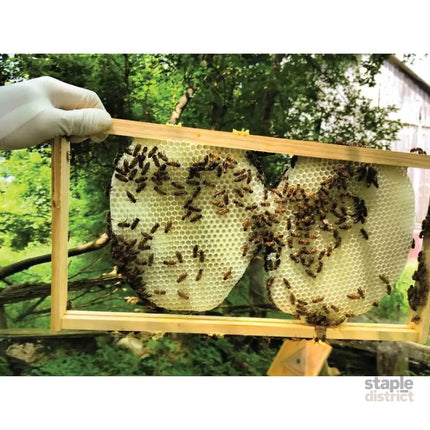 10Kg Orku Australian Beeswax Chunks - Pure Natural Unrefined Raw Bulk - Home & Garden > Hobbies > Arts & Crafts
