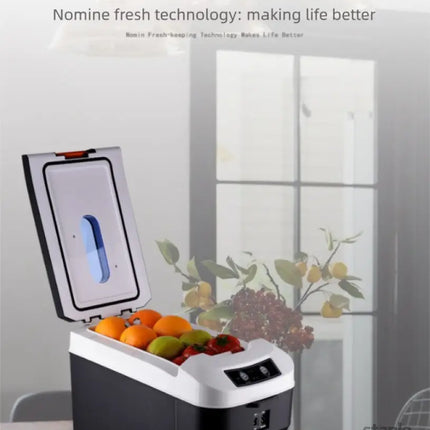 10L Portable Electric Cooler & Warmer Car Fridge with Digital Display 12V/240V Dual Power for Camping Road Trips & Home