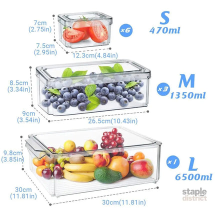 10PCS Clear PET Refrigerator Storage Box Food Grade Fruit Freezer Organizer Set - Commercial > Packaging > Postage