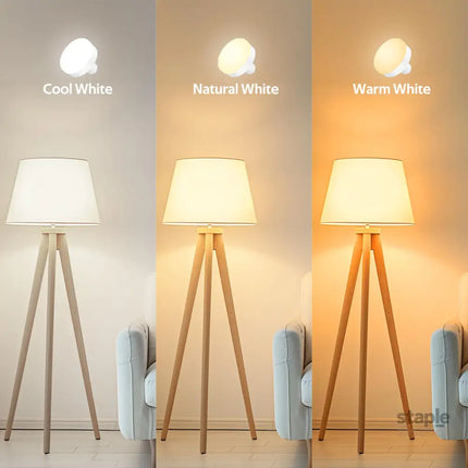 Battery Operated Light Bulbs 5000mAh Rechargeable Light Bulb Set of 2 with Remote 3 Colors 10 Levels Dimmable Fabric
