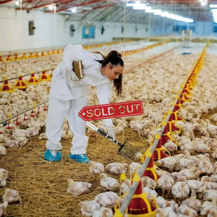 3in1 Chicken Coop Cleaning Scoop Poop Picker Tool for Waste Removal Durable Use - Commercial > Commercial Others >