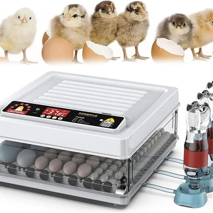 CARLA HOME 70 Egg Incubator with Automatic Turning LED Display Humidity & Temperature Control Auto Water System &