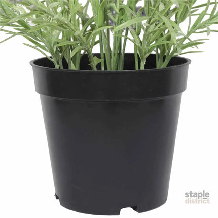 Artificial Lavender Plant 40cm - Appliances > Aroma Diffusers & Humidifiers > Aroma Diffusers