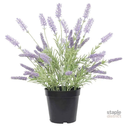 Artificial Lavender Plant 40cm - Appliances > Aroma Diffusers & Humidifiers > Aroma Diffusers