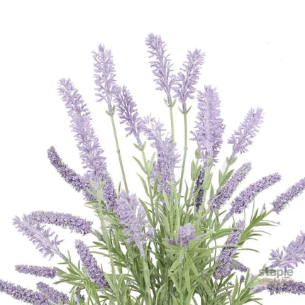 Artificial Lavender Plant 40cm - Appliances > Aroma Diffusers & Humidifiers > Aroma Diffusers