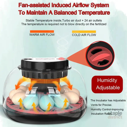 CARLA HOME 12 Egg Incubator with Automatic Turning, LED Display, Humidity & Temperature Control, Auto Water System & Built-in Egg Candler for Chicken, Duck, Quail, Goose-2050057511943409669