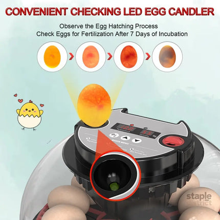 CARLA HOME 12 Egg Incubator with Automatic Turning, LED Display, Humidity & Temperature Control, Auto Water System & Built-in Egg Candler for Chicken, Duck, Quail, Goose-2050057511943409668
