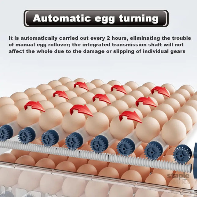 CARLA HOME 128 Egg Incubator with Automatic Turning, LED Display, Humidity & Temperature Control, Auto Water System & Built-in Egg Candler for Chicken, Duck, Quail, Goose-2050057513667268609