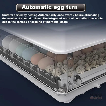 CARLA HOME 70 Egg Incubator with Automatic Turning, LED Display, Humidity & Temperature Control, Auto Water System & Built-in Egg Candler for Chicken, Duck, Quail, Goose-2050057513516273668