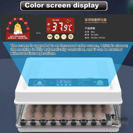 CARLA HOME 70 Egg Incubator with Automatic Turning, LED Display, Humidity & Temperature Control, Auto Water System & Built-in Egg Candler for Chicken, Duck, Quail, Goose-2050057513516273665