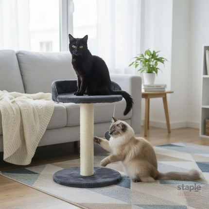 CARLA HOME Cat Tree Tower for Indoor Cats with Plush Perch, Sisal Scratching Post & Hanging Ball Toy for Kittens or Small Breeds-2050057519807729667