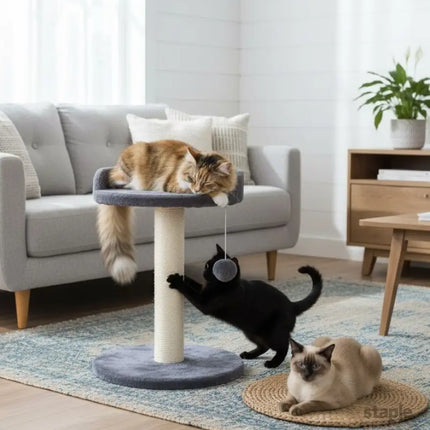 CARLA HOME Cat Tree Tower for Indoor Cats with Plush Perch, Sisal Scratching Post & Hanging Ball Toy for Kittens or Small Breeds-2050057519807729665