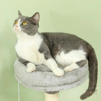 CARLA HOME Large Cat Tree Tower for Indoor Cats with Plush Perch, Cat Condo, Natural Sisal Scratching Posts, Hanging Ball & Paw Scratcher-2050057520038416388