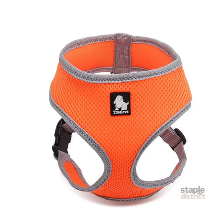 Dog Harness with Steel D Ring - Orange, XL-1831155622889000960