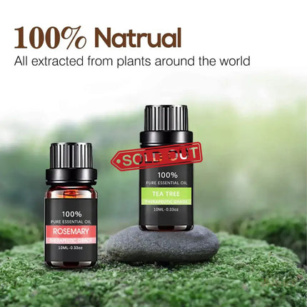 Essential Oil Set 6 Bottles Plant Aromatherapy Oils Natural Scent for Diffuser - Appliances > Aroma Diffusers &