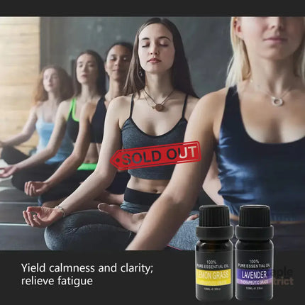 Essential Oil Set 6 Bottles Plant Aromatherapy Oils Natural Scent for Diffuser - Appliances > Aroma Diffusers &