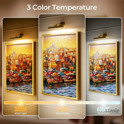 Picture Lights for Wall Battery Operated Picture Light 16in Gallery Light for Paintings CCT Dimmable Gold - Home &