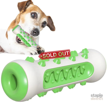 Green Dog Toothbrush Bone Toy-1962324913494822912