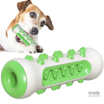 Green Dog Toothbrush Bone Toy-1962324913494822912