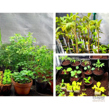 Green Fingers Grow Tent 60x60x90CM Hydroponics Kit Indoor Plant Room System - Home & Garden > Greenhouses > Greenhouses