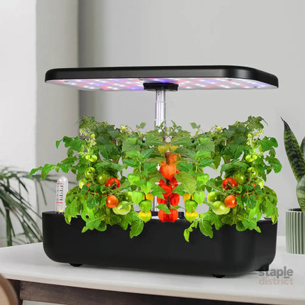 Lambu Hydroponics Growing System 3 Mode-2006732806742478855