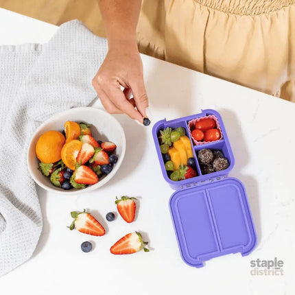 Little Lunch Box Co Bento Two Grape-2006733352769556482