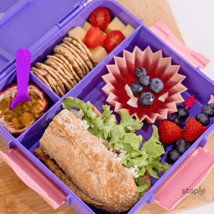 MONTII.CO Bento Plus | Grape-2006733451826434051