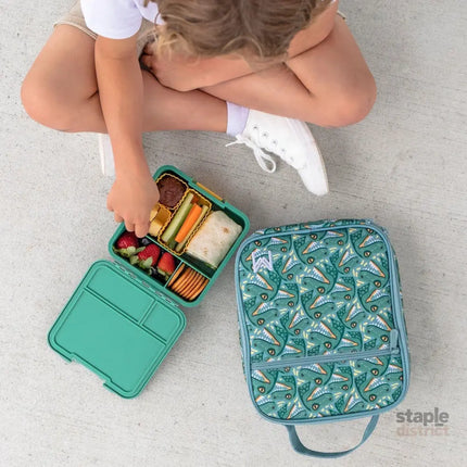 MONTII.CO Little Lunch Box Co | Bento Three - Apple-2006733341956640772