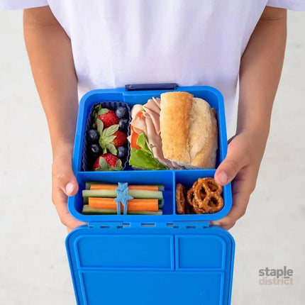 MONTII.CO Little Lunch Box Co | Bento Three - Blueberry-2006733342124412931