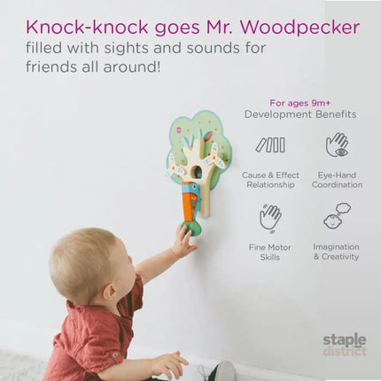 Oribel VertiPlay Wall Toy: Busy Woodpecker knocker-2029387304870744066