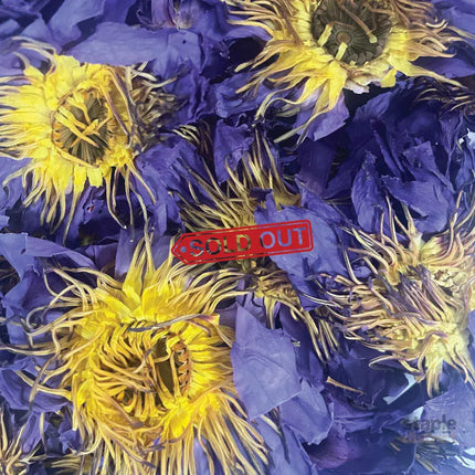 Orku 2Kg Dried Blue Lotus Flowers - Whole Open Lily Nymphaea Caerulea - Food & Beverage > Pantry > Teas & Accessories