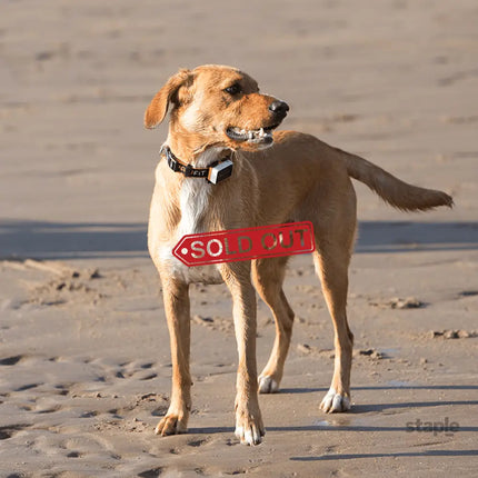 Pawfit 3 Collar Small-1869883042106052610