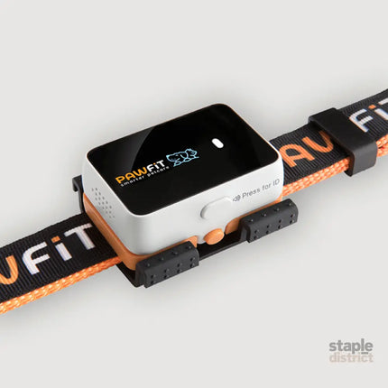 Pawfit 3 Tracker-1869883041959251968