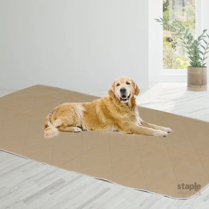 PaWz 2 Pcs 120x180 cm Reusable Waterproof KING-2029387253406633991