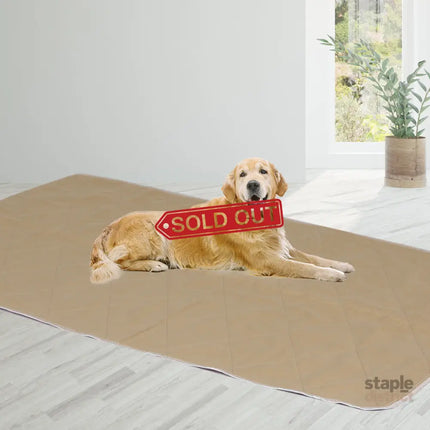 PaWz 2 Pcs 120x180 cm Reusable Waterproof KING-2029387253406633991
