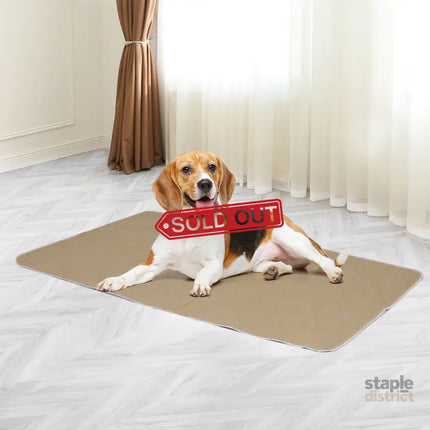 PaWz 2 Pcs 60x90 cm Reusable Waterproof Large-2018816648647151622