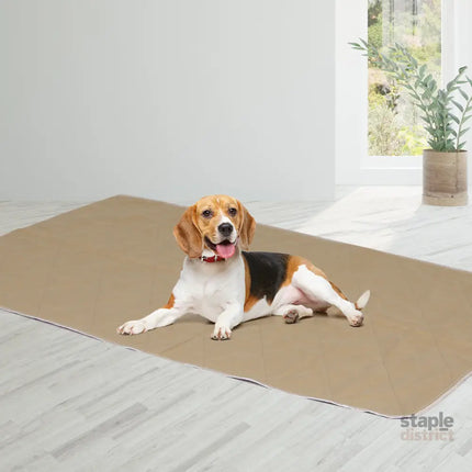 PaWz 2 Pcs 90x90 cm Reusable Waterproof XX-Large-2029387253578600455