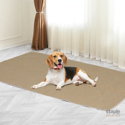 PaWz 2 Pcs 90x90 cm Reusable Waterproof XX-Large-2029387253578600454