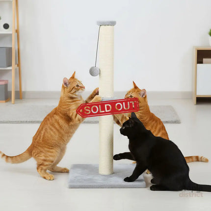 Pawz Cat Scratcher Scratching Post-2006732790871232518