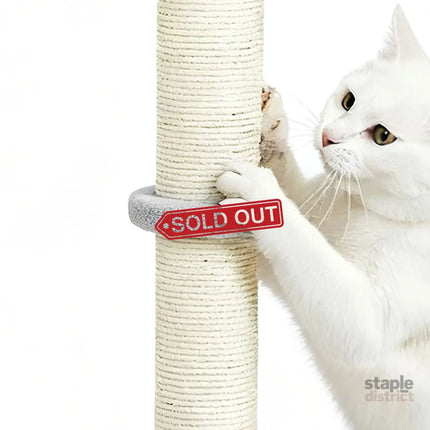 Pawz Cat Scratcher Scratching Post-2006732790871232516