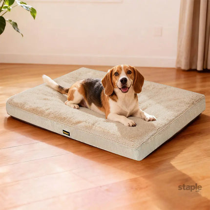 Pawz Dog Bed Soft Pet Mat Cushion Removable Washable-2050056917400817670