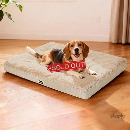 Pawz Dog Bed Soft Pet Mat Cushion Removable Washable-2050056917618921478