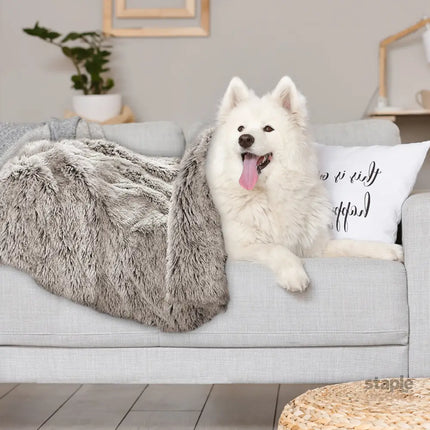 PaWz Dog Blanket Pet Cat Mat Puppy Warm Brown-2018816652644323335