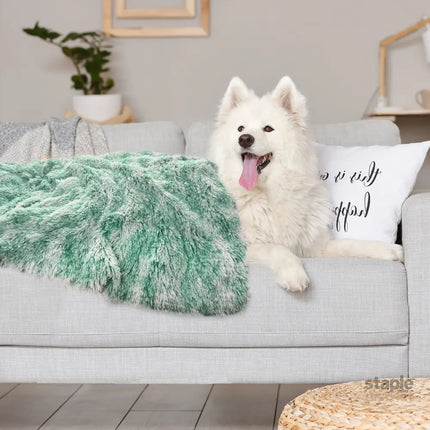 PaWz Dog Blanket Pet Cat Mat Puppy Warm Teal-2018816654565314567