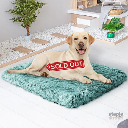 PaWz Dog Mat Pet Calming Bed Memory L Green Large-2029387228081426439