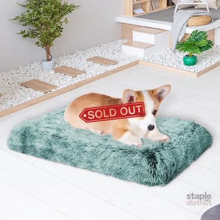PaWz Dog Mat Pet Calming Bed Memory S Green Small-2018816643005812743