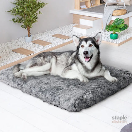 PaWz Dog Mat Pet Calming Bed Memory XL Charcoal X-Large-2018816745673986055