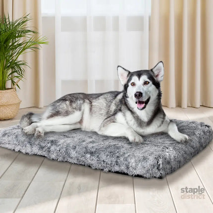 PaWz Dog Mat Pet Calming Bed Memory XL Charcoal X-Large-2018816745673986054